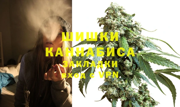 шишки Беломорск