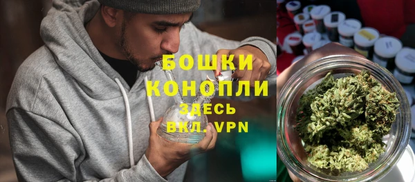 apvp Белокуриха
