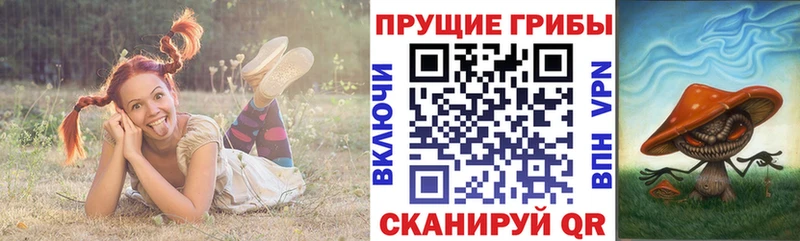 Галлюциногенные грибы ЛСД  Щёкино 