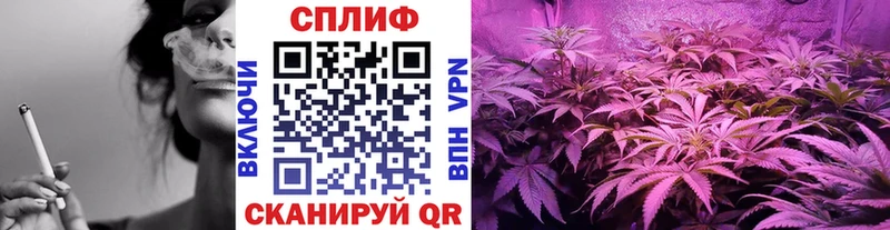 купить   Щёкино  Марихуана MAZAR 